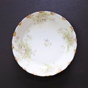 Antique Limoges France Theodore Haviland Porcelain Floral Bowl Dish